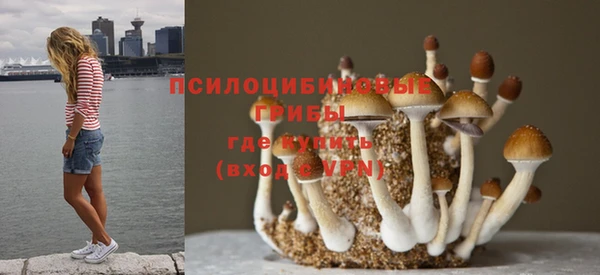 синтетический гашиш Куйбышев