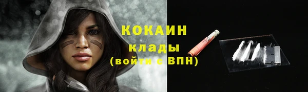 гидра Абаза