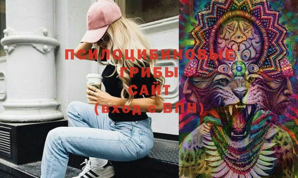 гидра Абаза
