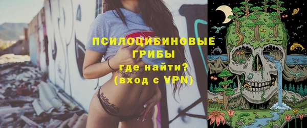бошки Абдулино