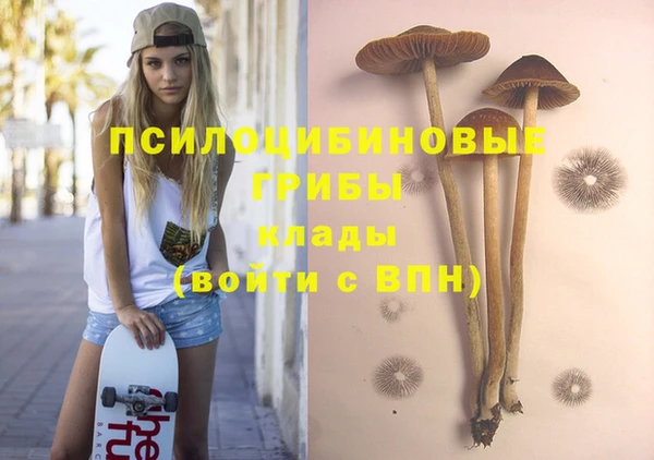 бошки Абдулино