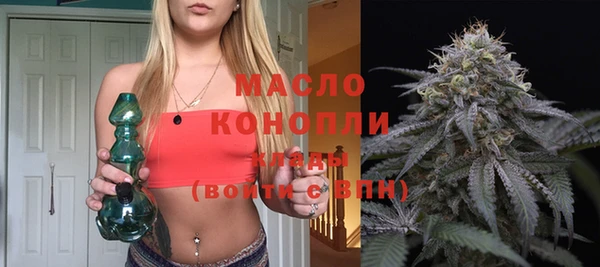 гидра Абаза
