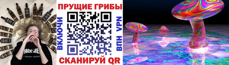 Псилоцибиновые грибы GOLDEN TEACHER  Старый Крым 